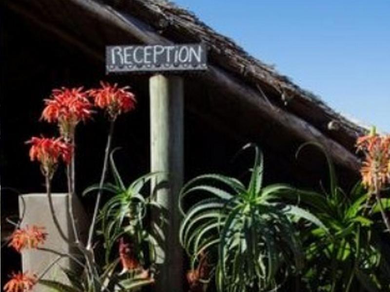 Swell Eco Lodge Lutsheni Exterior foto